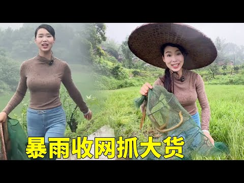 暴雨过后鱼货多,30个地笼,看看能出多少大货?【文杰吖】