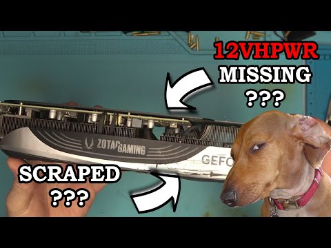 When your brother attack your GPU instead of your face