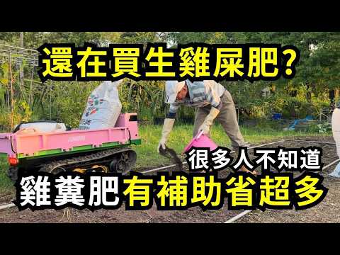 生雞屎真的便宜好用嗎?小心用錯雞糞當肥料，重金屬超標傷土傷作物，如何買雞糞肥省最多錢又安全？| 阿星種植