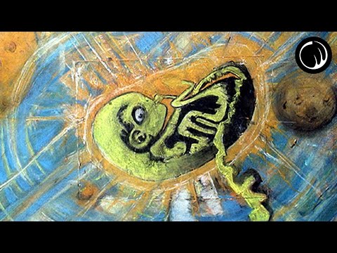 We're the Aliens That We Fear