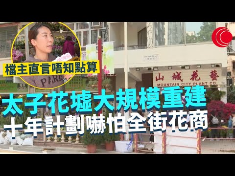 一線搜查｜太子花墟大規模重建 十年計劃嚇怕全街花商 收地重建舊區 百年歷史難保存？｜將軍澳避風塘船家亂泊 600漁船堆滿海面 廢棄船長年無人理｜457集｜有線新聞 黃愷怡 林靜莉｜HOY TV 77台