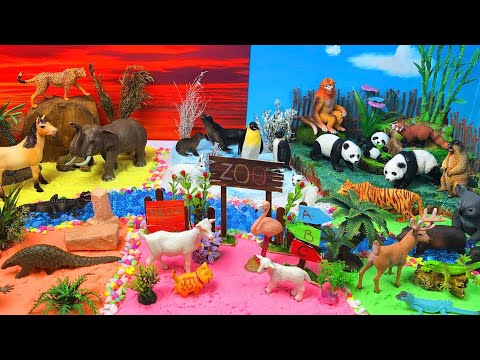 Explore the Mini Zoo! Forest Animals, Ice Animals & Wild Creatures