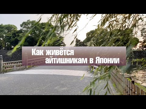 Как работается программисту из России в Японии? Работа в IT  в Японии.