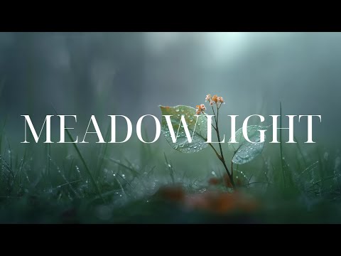 Meadowlight – Calm Rain & Dreamy Piano for Deep Rest & Mind Stillness | Pure Ambient Piano