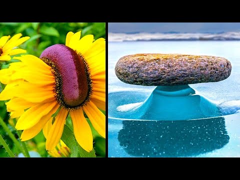 Mind Blowing Anomalies of Nature
