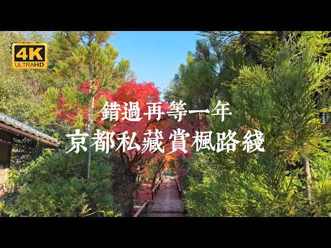 【京都一人旅 EP42】京都賞楓大爆料！京都當地人私藏的賞楓路線，錯過後悔一年 | 遠離人群的鷹峯三寺、嵐山深處的小驚喜 | 「京都賞楓指南」電子書無料下載中！