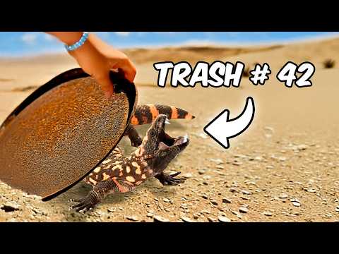 I Flipped 100 Pieces of Trash and Found This!