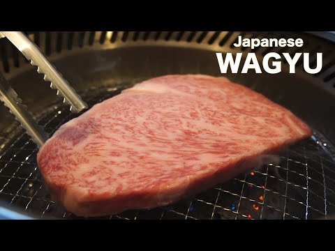 【WAGYU】 和牛 希少部位 ロース芯ステーキ grill　高森和牛