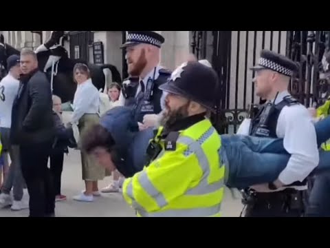 WHEN POLICE CONFRONT TOURIST AT HORSE GUARDS COMPILATION #MODPOLICE