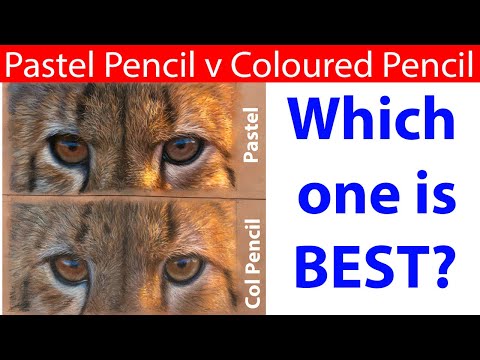 Colored Pencil vs Pastel Pencil, which is best for Wildlife Art?