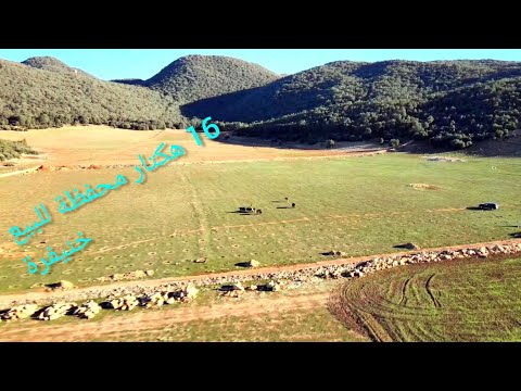 ارض فلاحية للبيع محفظة 16 هكتار  طريق عيون ام الربيع  +500 من التفاح تم بيع الارض