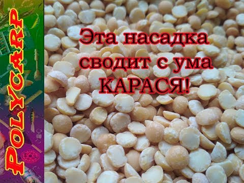 ГОРОХОВАЯ МАСТЫРКА ЛУЧШАЯ ПРИКОРМКА И НАСАДКА НА КАРАСЯ