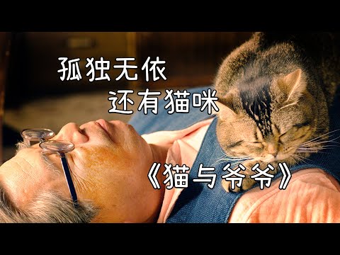 70岁，我想与一只猫共度余生，如此老去，或许也没那么苦？| 岩合光昭《猫与爷爷》