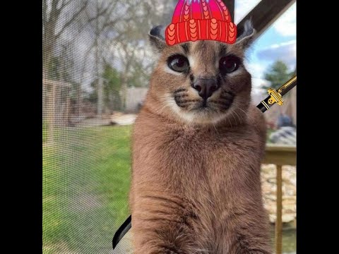 Собеседование на Vue Middle Frontend Developer