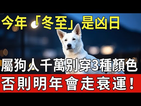 今年「冬至」是凶日！提醒屬狗人：最不能穿的3種顏色衣服，千萬不要碰，否則明年會走衰運！|福運生肖 #生肖 #運勢 #風水 #財運 #命理