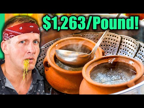 Asia's Most Expensive Ingredient!! More than GOLD!! | Surviving Vietnam Part 6