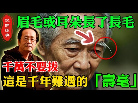倪海廈：耳朵或者眉毛長了長毛，千萬不要拔，這是傳說中千年難遇的「壽毫」！你一拔，瞬間折損十年陽壽，財運福氣全沒！#倪海廈 #壽毫 #長壽符 #折損陽壽 #長壽面相 #眉毛長毛 #耳朵長毛 #腎氣充足