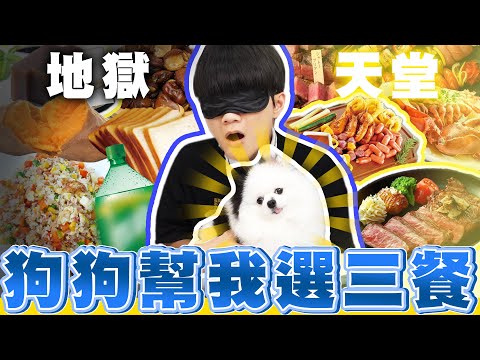 狗狗盲選三餐,哲哲的三餐都靠狗狗來挑選!會選到天堂還是地獄呢?【黃氏兄弟】#盲選