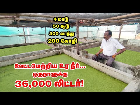 Smart Integrated Farming - பற்றி உங்களுக்குத் தெரியுமா? | Erode Banana Forest Shanmugasundram