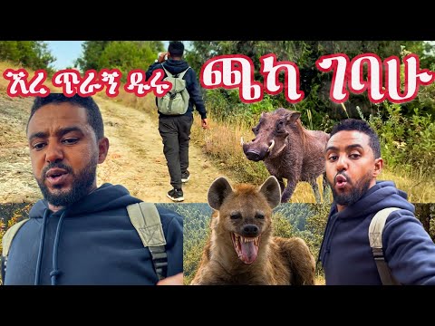 ጫካ ገባሁ #sami #leyutune