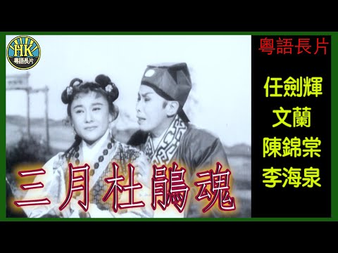 《粵語長片》三月杜鵑魂 (1959)｜任劍輝｜文蘭｜陳錦棠｜李海泉｜導演：珠璣｜香港電影｜香港粵語電影｜粵語中字