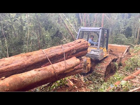 The most Difficult job Done by the Dozer Komatsu D68ess pulling logs out of forest