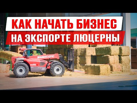 Сено люцерны как бизнес | Технология производства сушеной люцерны | Экспорт люцерны | Бизнес идея