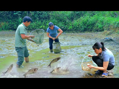 Together Harvesting duck eggs and perch. Preserve enough food for half a year - Forest life