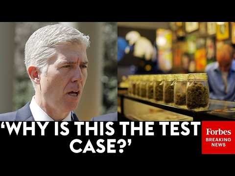 Neil Gorsuch Asks DOJ Official Directly: 'Why Bring This Case' After Marijuana's Rescheduling?