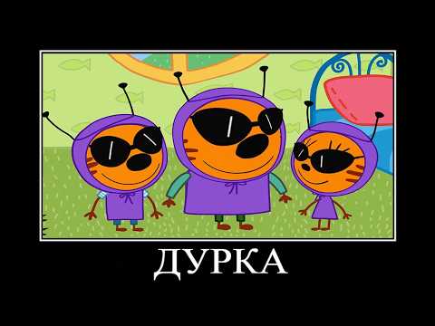 13 МИНУТ РЖАКИ ТРИ КОТА 😂 ПОПРОБУЙ НЕ ЗАСМЕЯТЬСЯ