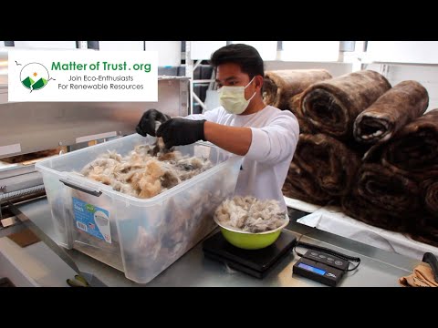 Matter of Trust - How to Make Hair Mats that Clean Up Oil Spills - New Video