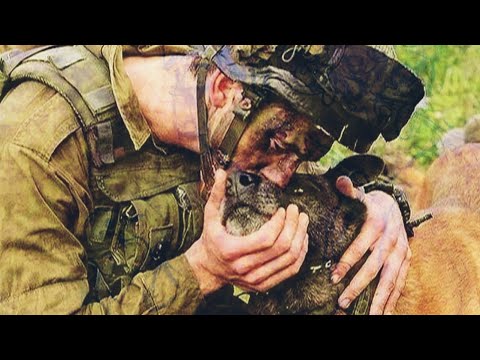 Почему мужики вставали перед этой собакой на колени?