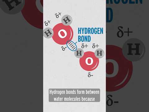 how hydrogen bonding works