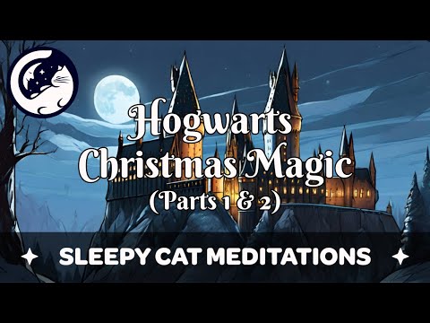 Hogwarts Christmas Magic (2 Hour) Guided Sleep Story inspired by Harry Potter (Parts 1 & 2)