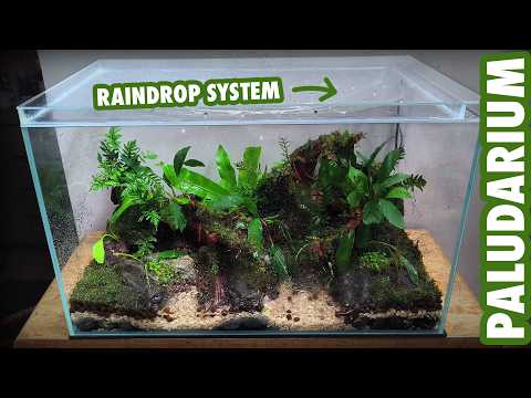 I Built a Paludarium With Its Own Rain System!