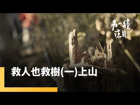 台灣百岳上的架繩奇人　山域搜救員劉燕龍《救人也救樹》｜另一種注目｜#鏡新聞