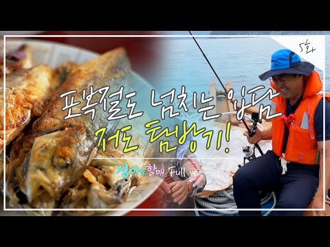 [섬마을 할매 시즌2 Full ver.] 5화 포복절도 넘치는 입담! 저도 탐방기