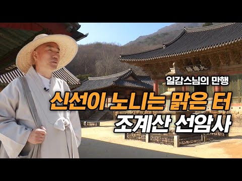 신선이 노니는 맑은 터 조계산 선암사 [일감스님 만행]
