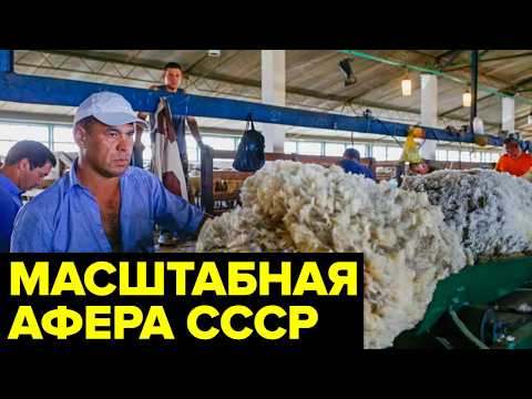 Как обычная криминальная афера в СССР совершила неожиданный поворот