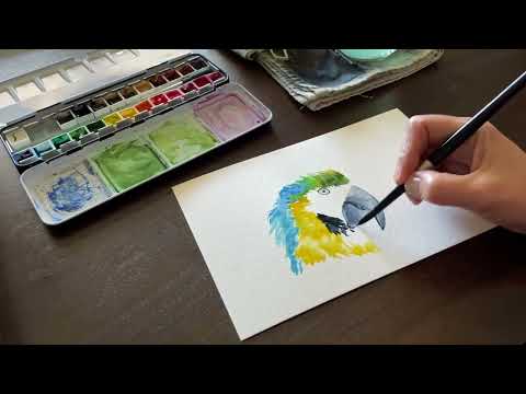 16-Minute Watercolor Painting of a Macaw