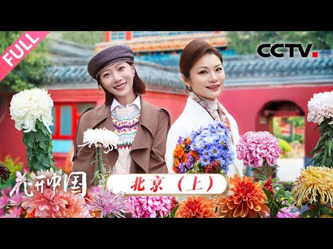 【Full】它被誉为“花中四君子”之一,来自清代的菊花品种惊艳现身!冬日探访团漫步北京,开启寻菊之旅 | CCTV「花开中国」20251130 第5期