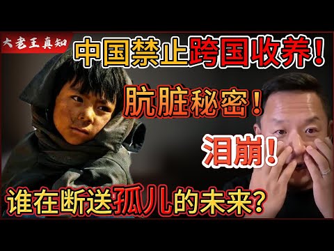 老王来了：中国全面禁止跨国收养孤儿！背后肮脏秘密曝光！｜孤儿逆天改命之路被彻底终结！老王泪洒直播！｜