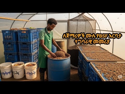 የBSF አሰራሪ ቀላል መንገድ ተብራራ