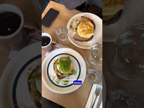 Specialty Coffee & Brunch in Rotterdam: Harvest feat. Ripsnorter