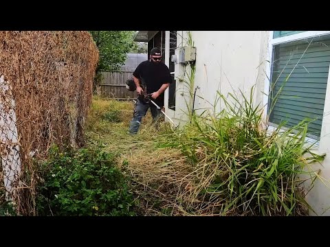 HE was AFRAID to go into the BACKYARD because it was so BAD