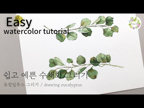 수채화 일러스트 유칼립투스 그리기 - 쉽고 예쁜 수채화 20_easy watercolor - drawing eucalyptus - 물고기아트 아뜰리에