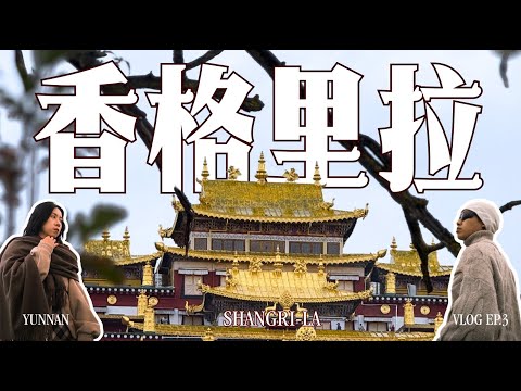 【云南 VLOG EP.3】香格里拉成了整趟云南最喜欢的一站！