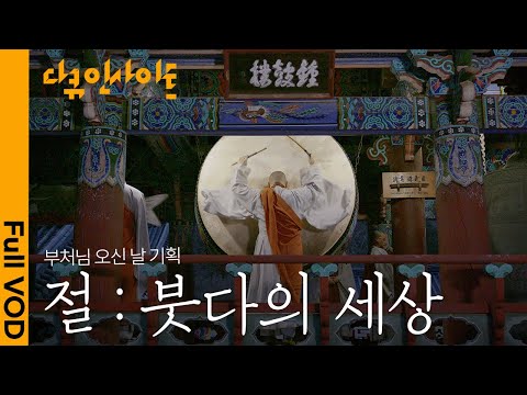 몸과 마음을 정화하는 사색의 공간. 깨달은 자의 세상 속의 뜻과 가르침  | KBS 다큐인사이트 - 절, 붓다의 세상 24.05.16 방송