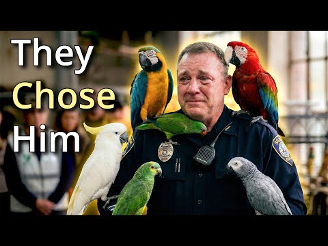 When Parrots Choose Their Humans… This Was THEIR Choice❤️🦜😭