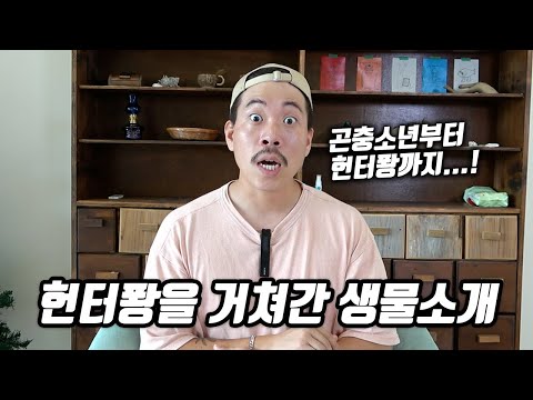 정말 미친듯이 키워 봤습니다..